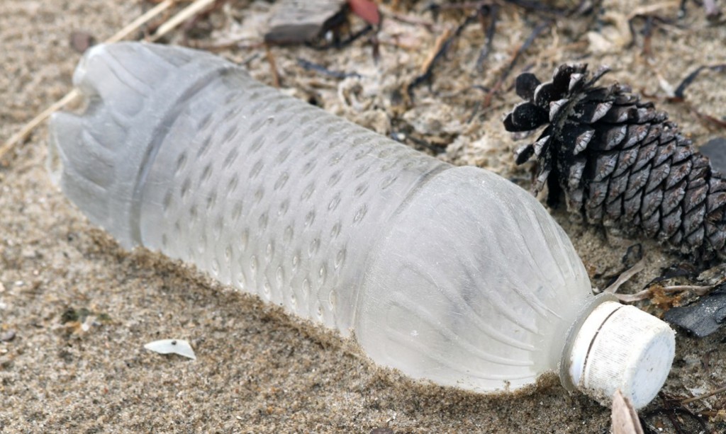 Newly discovered plastic-eating bacteria could help clean up plastic waste around the world