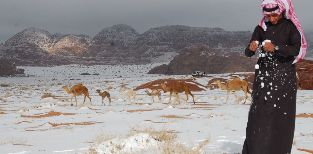 Explainer: how scientists know climate change is happening