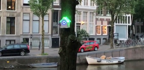 Smart birdhouses called TreeWiFi give free WiFi when the air quality improves