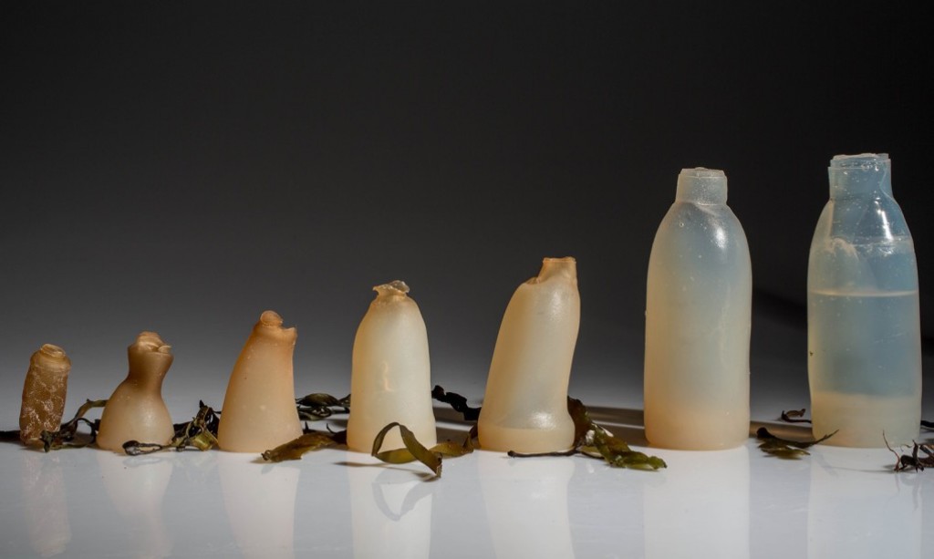 Biodegradable algae water bottles provide a green alternative to plastic